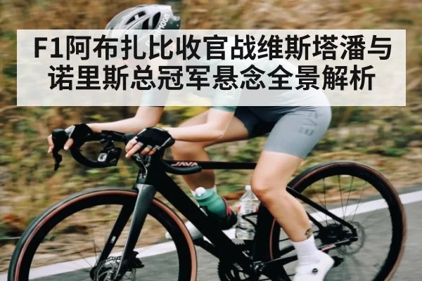 F1阿布扎比收官战维斯塔潘与诺里斯总冠军悬念全景解析
